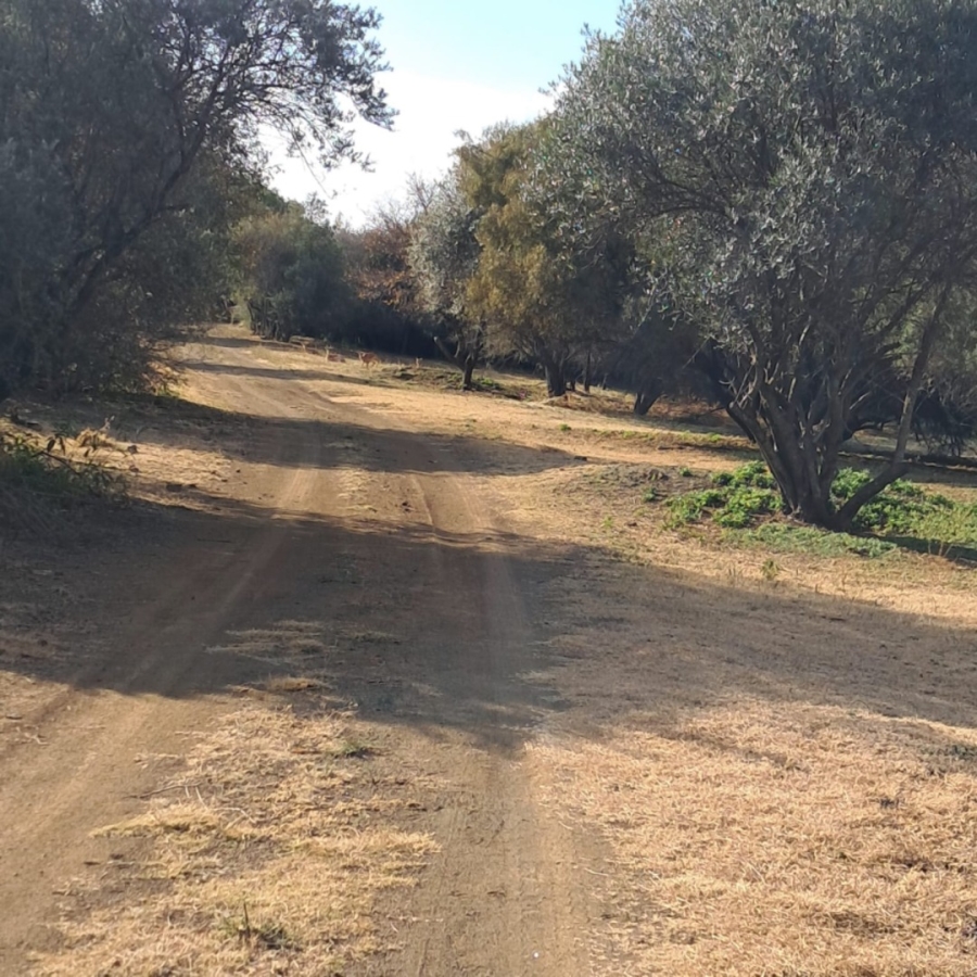 Commercial Property for Sale in Rayton Free State
